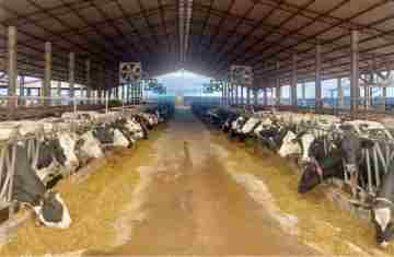  Crédito do BRDE à cadeia do leite do Paraná acelera 84% em 12 meses 